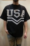 画像2: 【SUNNY SPORTS/サニースポーツ】　USA TEE (2)