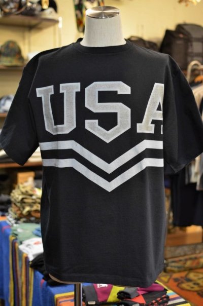 画像1: 【SUNNY SPORTS/サニースポーツ】　USA TEE