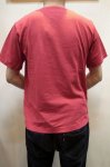 画像11: 【JACKMAN/ジャックマン】　JM5713　Henley neck Tee　ヘンリーネックTEE (11)