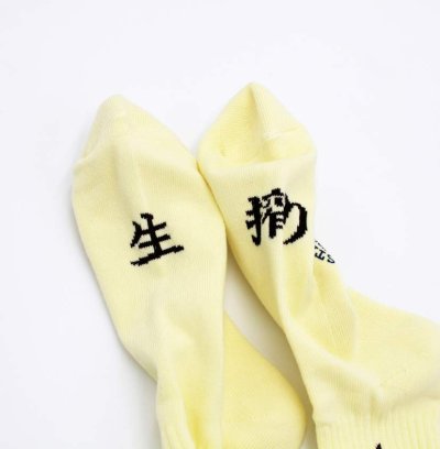 画像3: 【ROSTER SOX/ロスターソックス】　LEMMON SOCKS