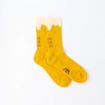 画像3: 【ROSTER SOX/ロスターソックス】　BEER SOCKS (3)